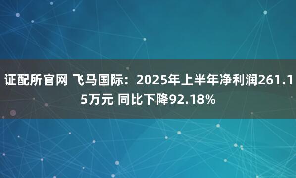 证配所官网 飞马国际：2025年上半年净利润261.15万元 同比下降92.18%