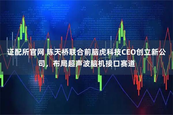 证配所官网 陈天桥联合前脑虎科技CEO创立新公司，布局超声波脑机接口赛道